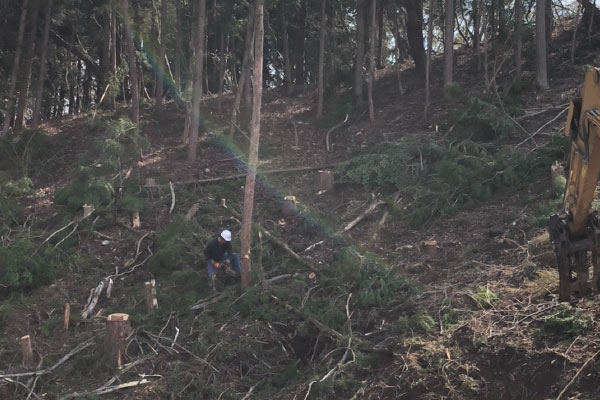 株式会社KAWAKOUの伐採工事